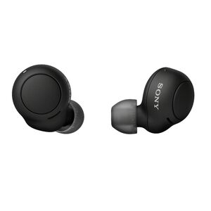 Sony WF-C500 Truly Wireless In-Ear Bluetooth Earbud Headphones